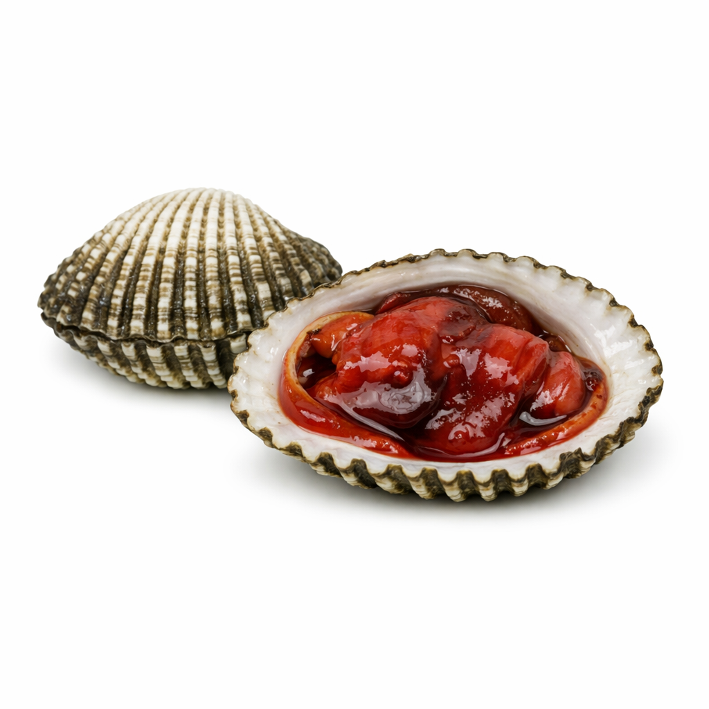 blood-cockle
